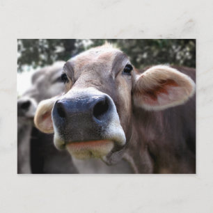 Postale Carte de vœux Bessy dit bonjour