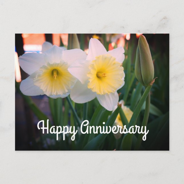 Postale Carte de vœux Daffodil pour l'anniversaire de mari (Devant)