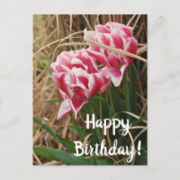 Carte de vœux d'anniversaire aux tulipes blanches 