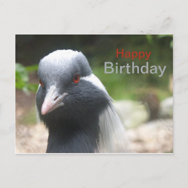 Postale Carte de vœux d'anniversaire avec une grue mignonn (Devant)