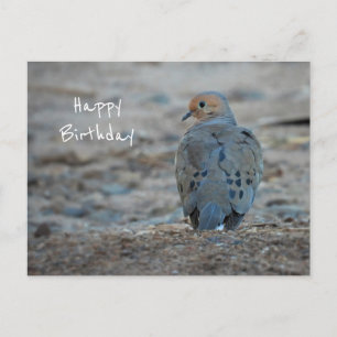 Postale Carte de vœux d'anniversaire de jolie tourterelle