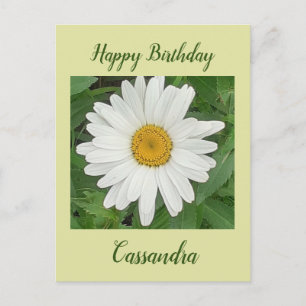 Postale Carte de vœux d'anniversaire Marguerite Blanche