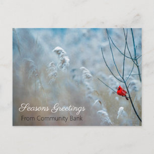 Postale Carte de vœux de Noël Cardinal d'hiver