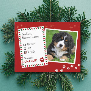 Postale Carte de voeux de Noël coquelicot ou Nice