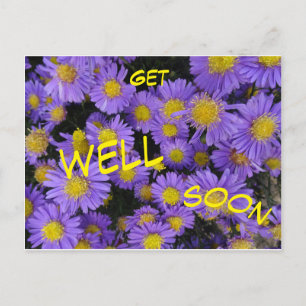 Postale Carte de vœux de rétablissement Michaelmas Daisy C