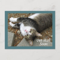 Carte de vœux de rétablissement pour chat tigré au