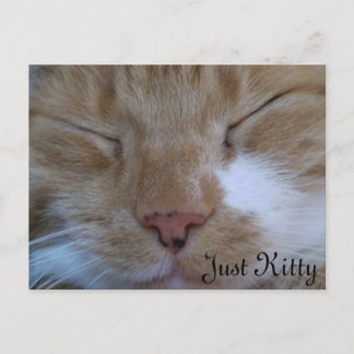 Postale Carte de voeux Just Kitty