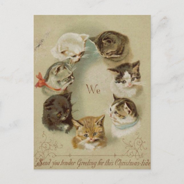 Postale Carte de voeux Noël chats (Devant)