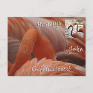 Postale Carte de vœux personnalisée Flamant rose pour Joye