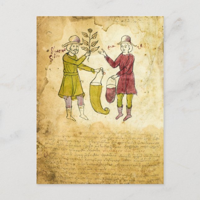 Postale Carte d'illustration du Manuscrit Herbaliste Médié (Devant)