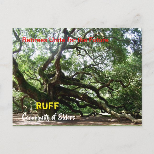 Postale Carte d'organisation RUFF (Devant)