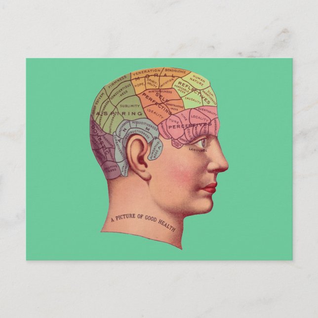 Postale Carte du cerveau antique Chef de pharmacologie (Devant)