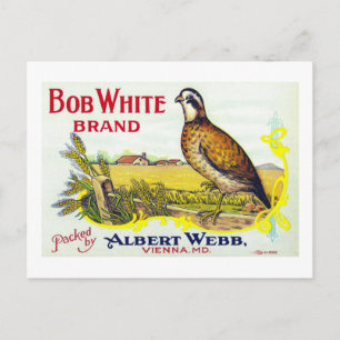Postale Carte "Étiquette de cantine de marque Citrouille B