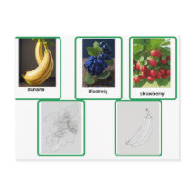 carte flashcards de fruits enfants et adultes