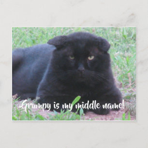 Postale Carte grincheuse