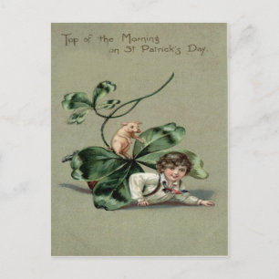 Postale Carte Jour Pig St Patrick pour Shamrock vintage