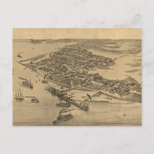 Postale Carte picturale vintage de Cèdre Key FL (1884)