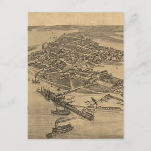 Postale Carte picturale vintage de Cèdre Key FL (1884)