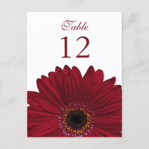 Postale Carte Plat rouge profonde Gerbera Daisy Numéro de 