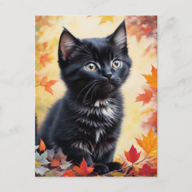 Postale Carte plate de scène d'automne avec chaton noir (Devant)