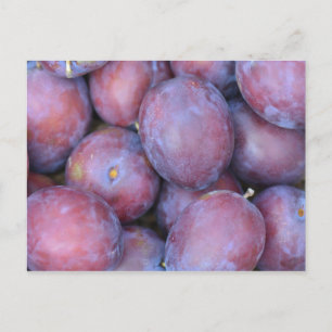 Postale Carte Plums