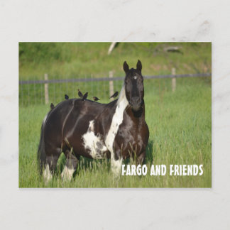 POSTALE CARTE POST HORSE
