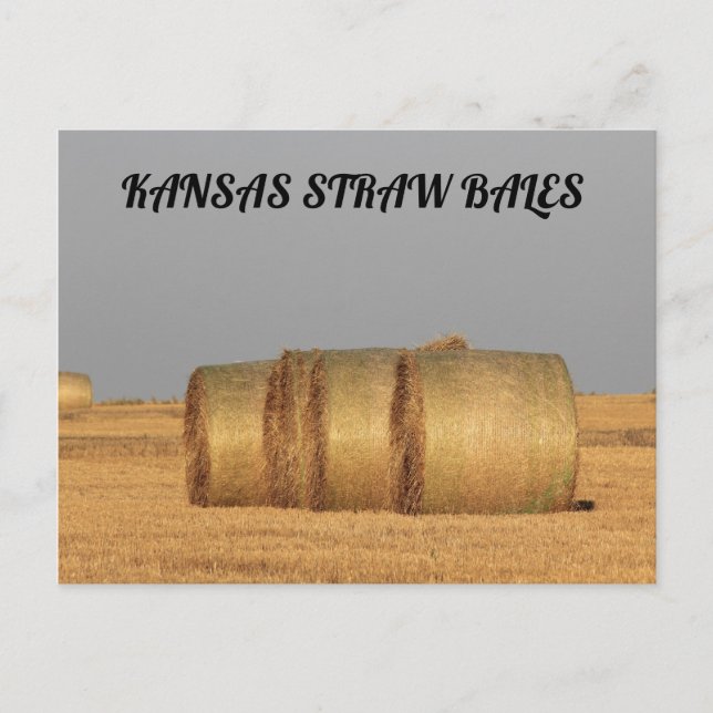 Postale CARTE POST Kansas Straw Bales (Devant)