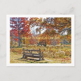 Postale carte postale/BANC RUSTIQUE AU MILIEU DE LA COULEU