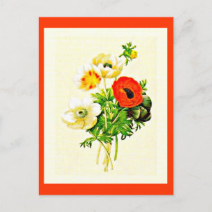 Postale Carte postale-Botaniques-Pierre Joseph Redoute 24