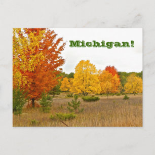 Postale carte postale"MICHIGAN VIENT AVEC LA COULEUR VIBRA