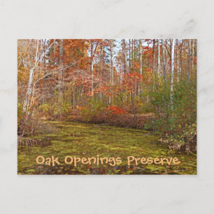 POSTALE CARTE POSTALE, OUVRAGES DE CHÊNE PRÉSERVATION, PAR