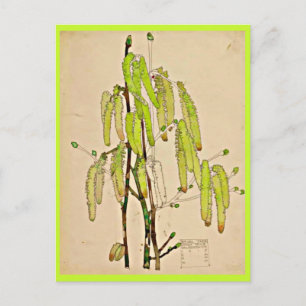Postale Carte postale-Vintage Art-Charles Rennie Mackintos