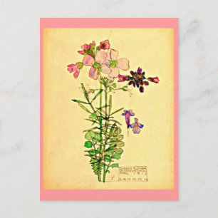 Postale Carte postale-Vintage Art-Charles Rennie Mackintos