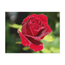 Carte Recette Chocolat Chip Arachide Beurre Cookie