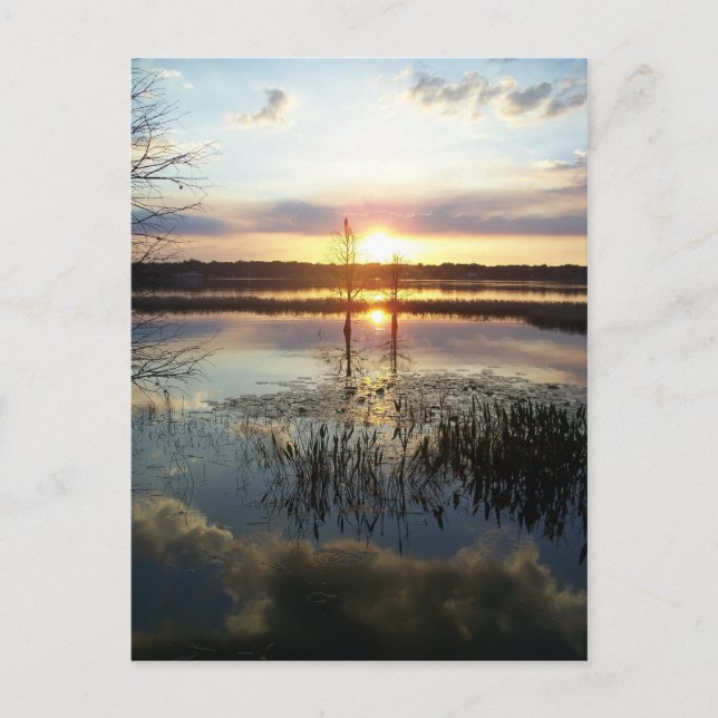 Postale Carte Sunset 172 Florida Post (Devant)