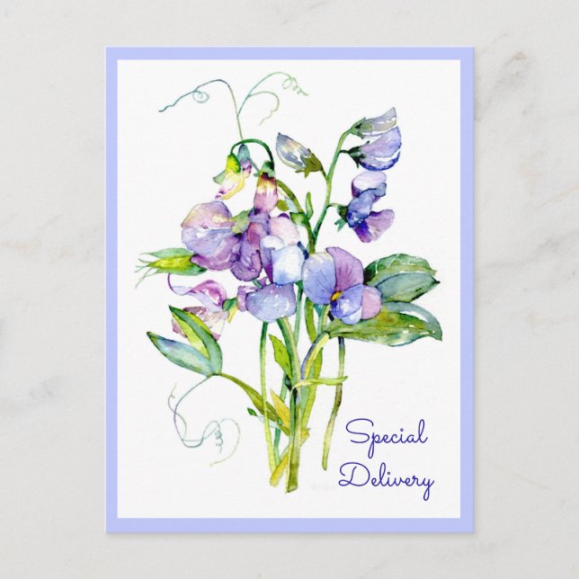 Postale Carte Sweet Peas En Tout Temps (Devant)