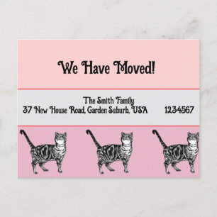 Postale Carte Tabby rose Nouvelle Adresse Carte Postale, N