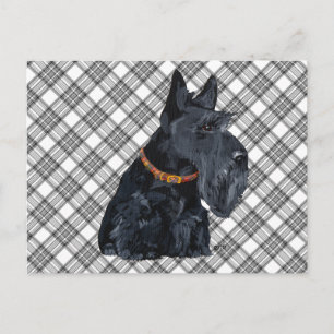 Postale Carte Tartan du Terrier Écossais