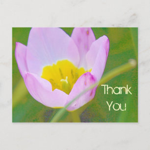 Postale carte vierge de remerciement fleur de tulipe