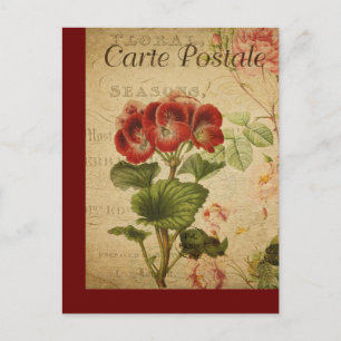 Postale Carte vintage de la Poste française Pelargonium