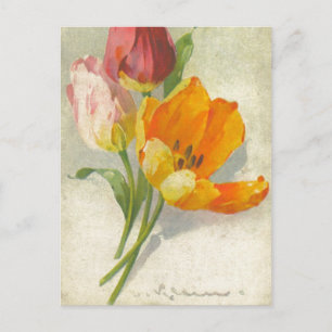 Postale Catherine Klein Reproduction Vintage par carte pos