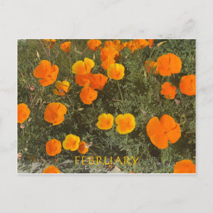 POSTALE CÉLÉBRATION DE COULEUR CALIFORNIENNE : CARTE POSTA