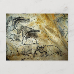 Postale Chauvet Lascaux Grotte Chevaux et animaux Carte po