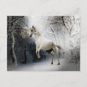 Postale Cheval blanc dans le paysage hivernal neige carte