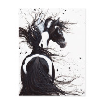 Cheval de peinture noir blanc Pinto par carte post