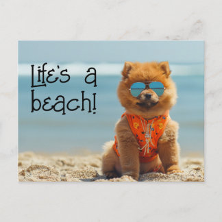 Postale ChowChow Chiot portant lunettes de soleil carte po
