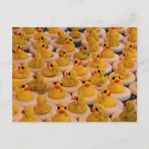 Postale Cool Jaune Canards en Caoutchouc Photo Funny Carte