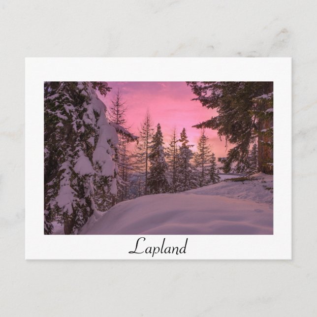 Postale Coucher de soleil rose lapland blanc texte carte p (Devant)