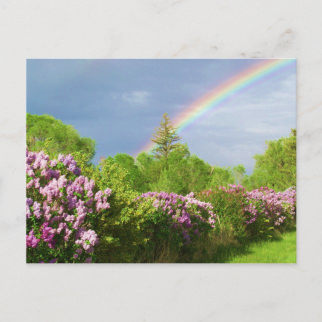 Postale couleurs dans la carte nature (Devant)