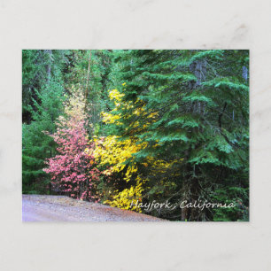 Postale Couleurs d'automne dans les montagnes..... carte p